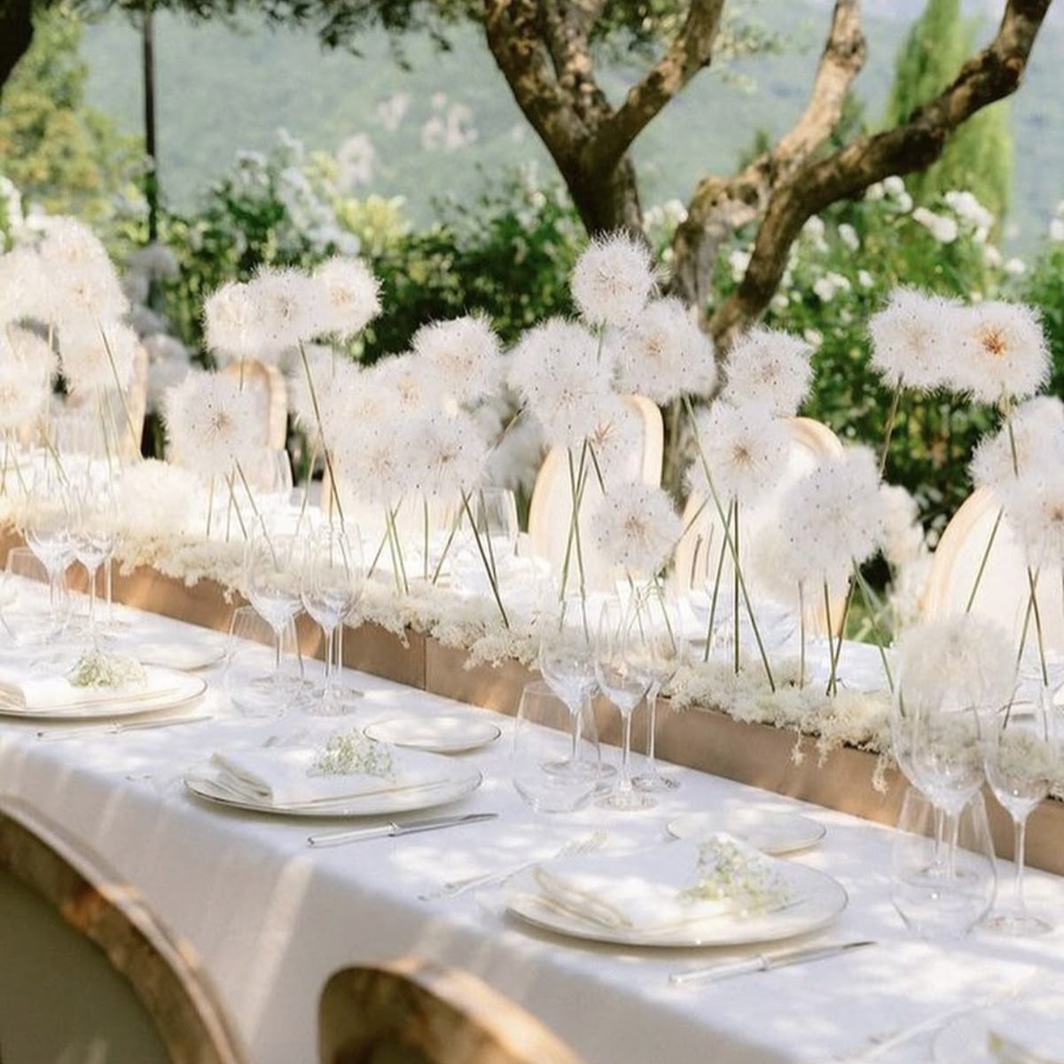 100 Layer Cake Event Vendor & Venue Concierge thumbnail