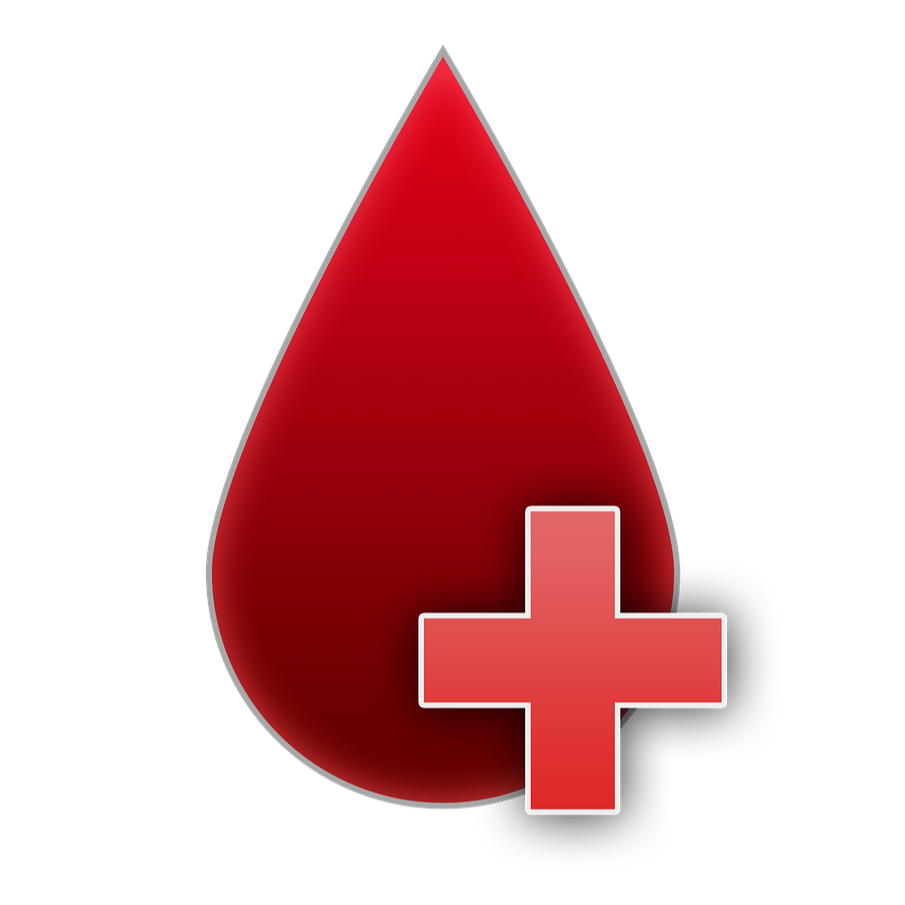 Iron/Hemoglobin Support thumbnail