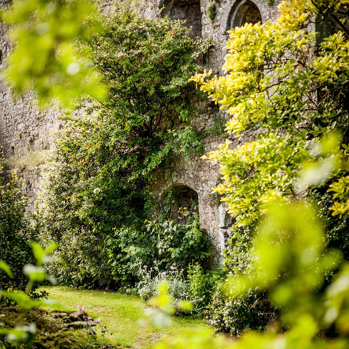 Art Day Retreat Amberley Castle thumbnail