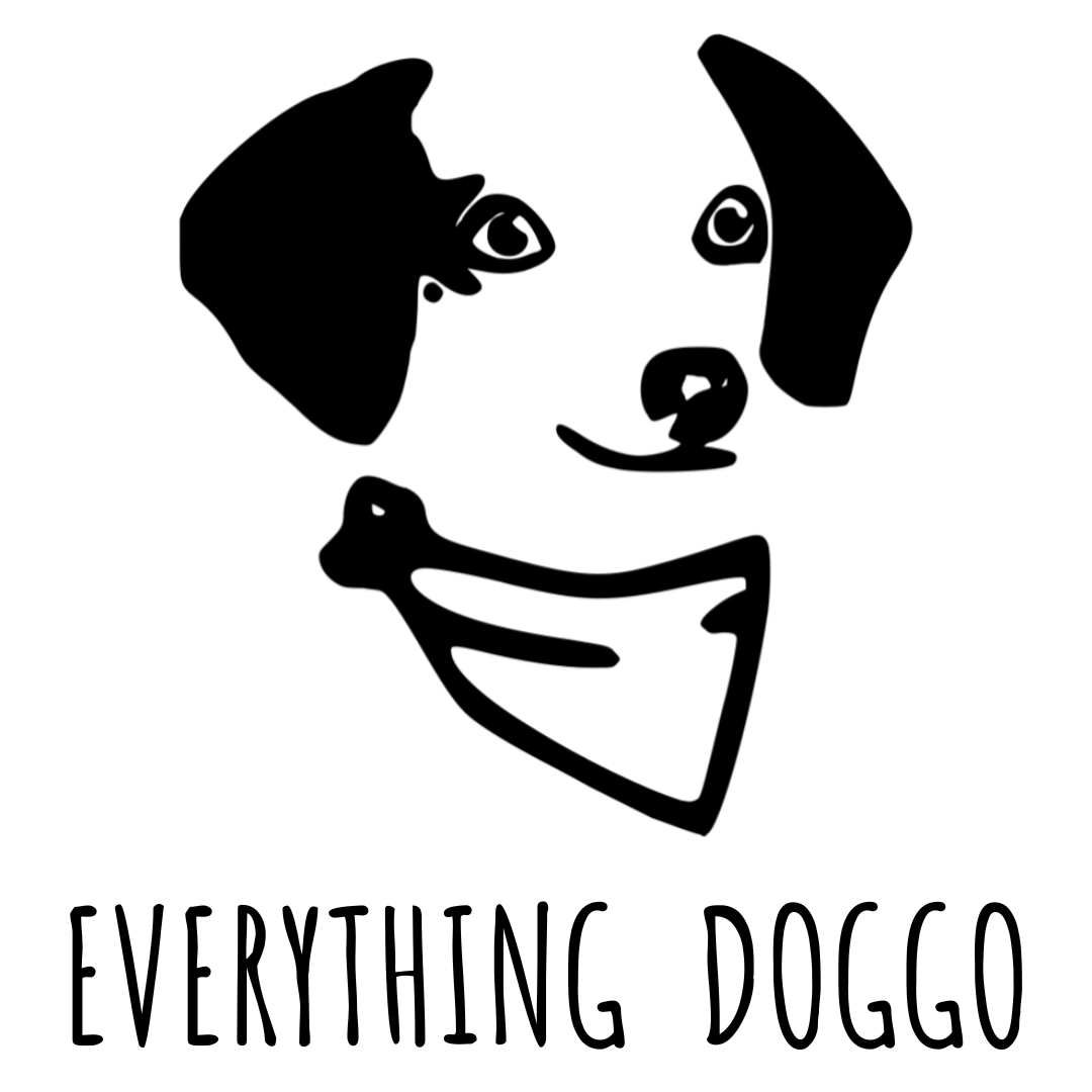 Everything Doggo - HARLEE15 thumbnail
