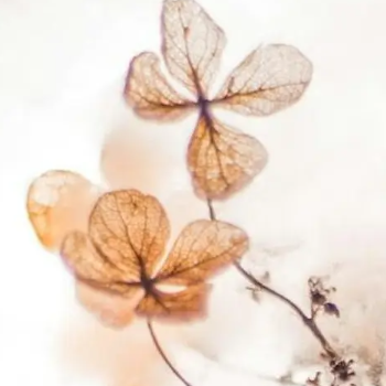 Expressing Motherhood: Tickets Here! thumbnail