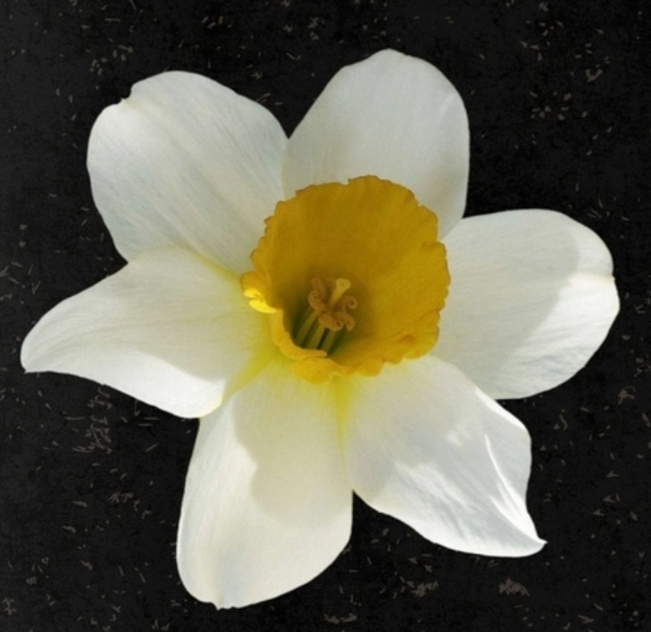 Read my poem in Persephone thumbnail