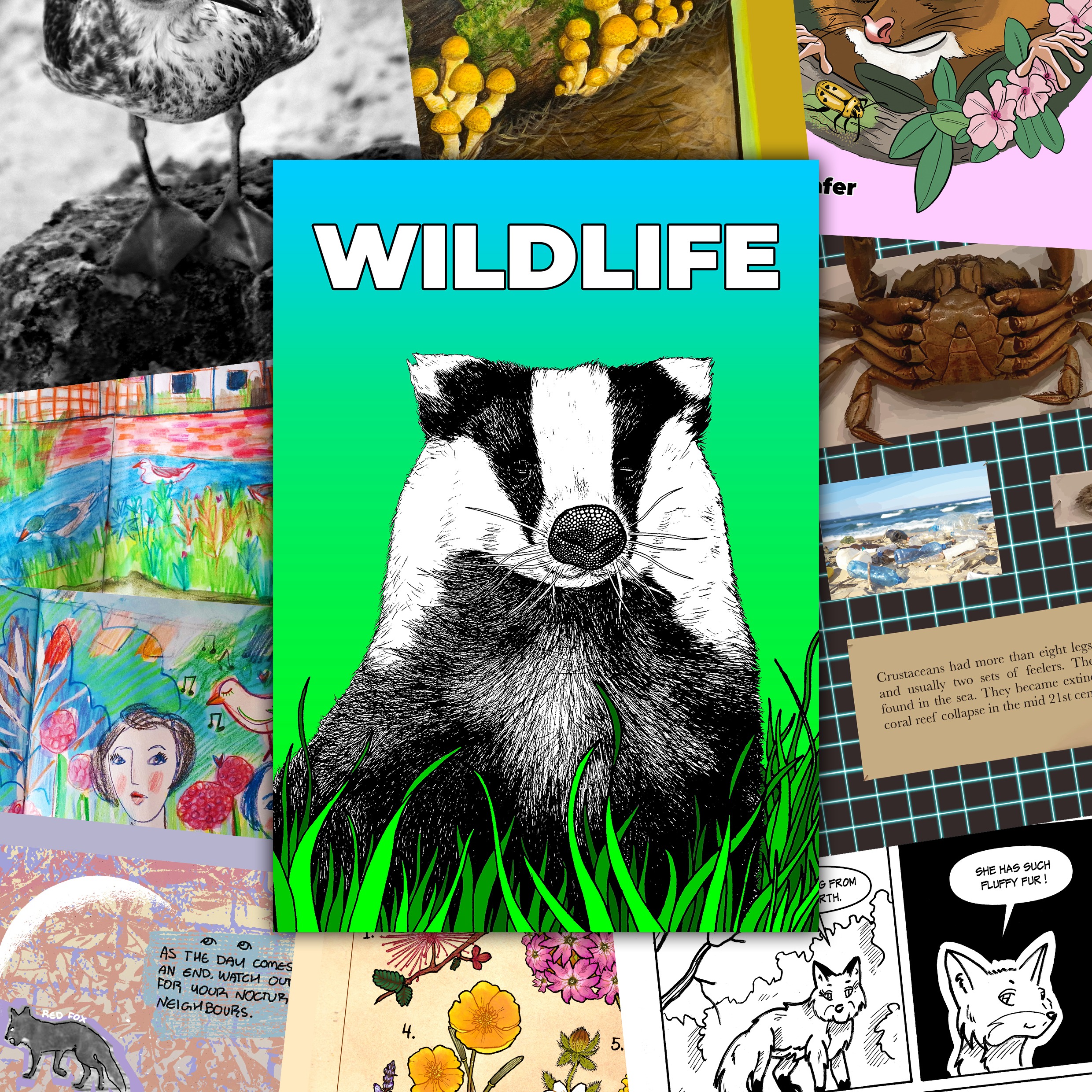 Find Me: Coin-Op Presss Wildlife Zine thumbnail