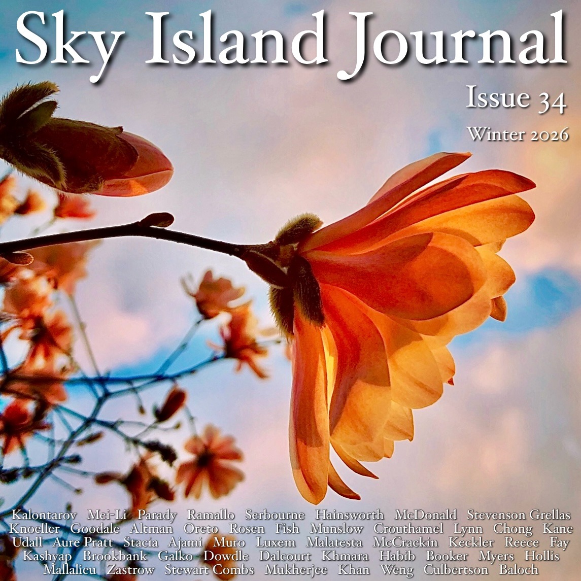 Read my poem in Sky Island Jornal thumbnail