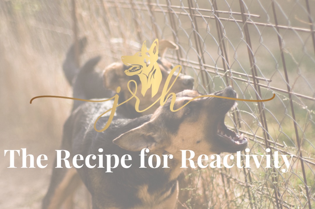 Free Course - Recipe for Reactivity thumbnail