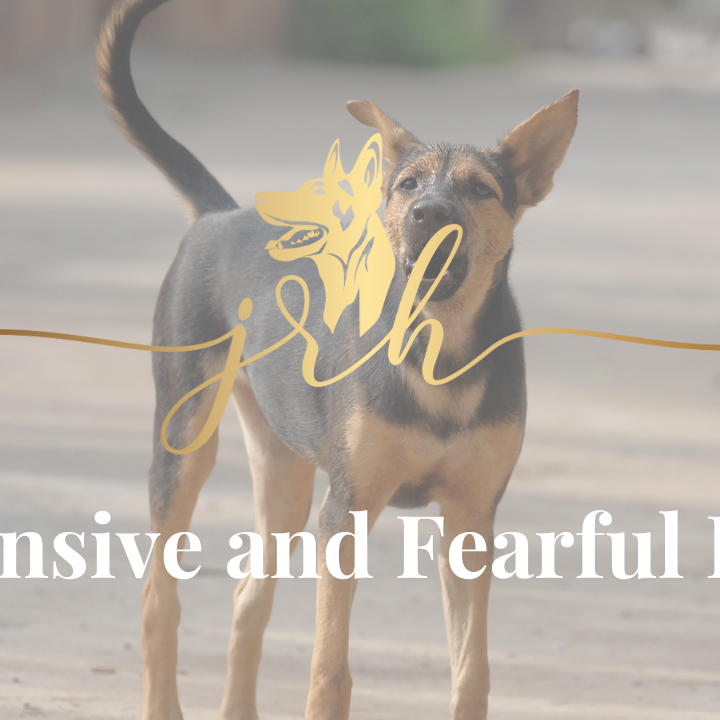 Defensive and Fearful Dogs thumbnail