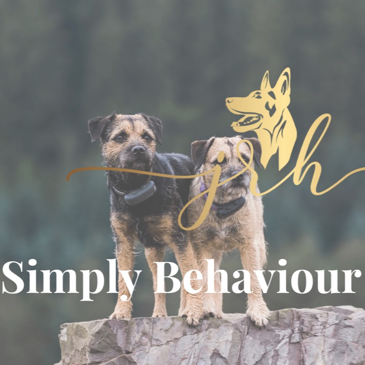 The Simply Behaviour Lecture Series thumbnail