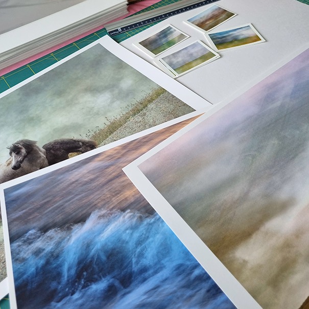 Limited Prints Available thumbnail