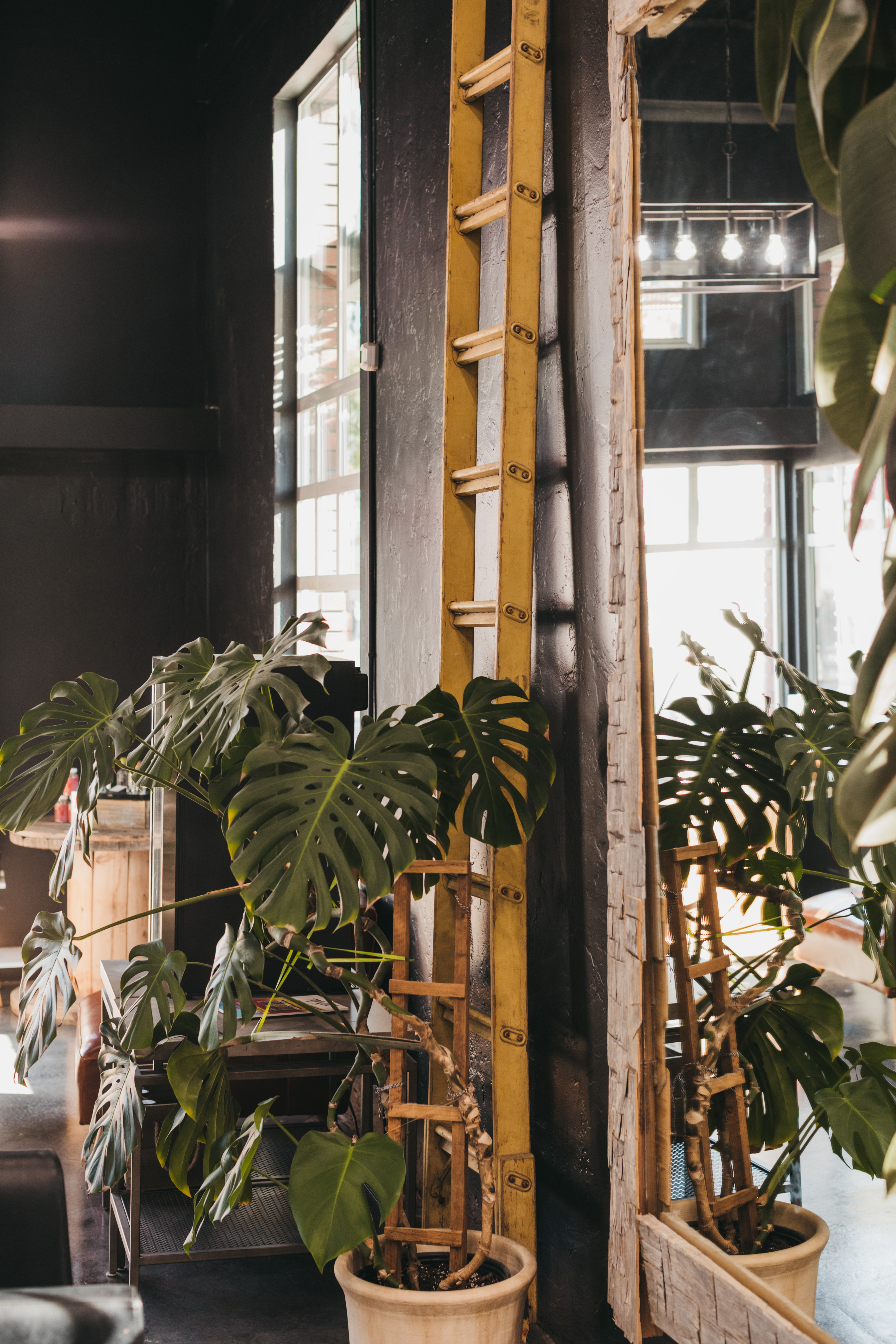 My Jamz🖤 thumbnail