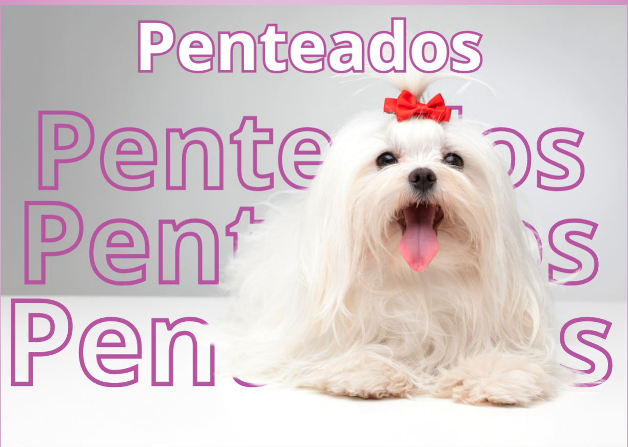 FALE CONOSCO thumbnail