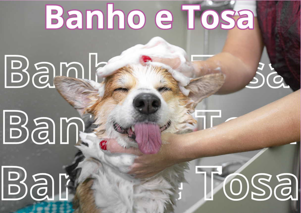 FALE CONOSCO thumbnail