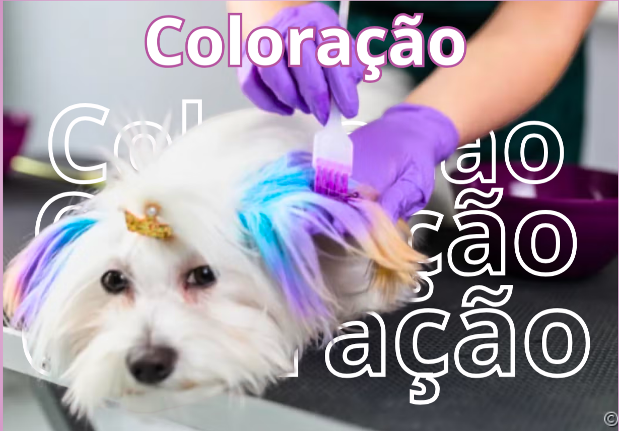 FALE CONOSCO thumbnail