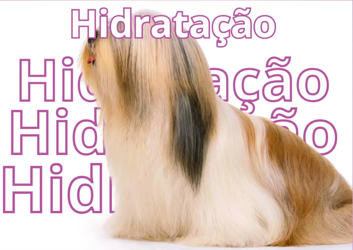 FALE CONOSCO thumbnail