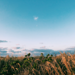 Island Drum Bass2019 thumbnail