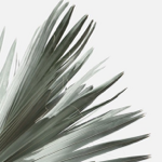 Portfolio thumbnail