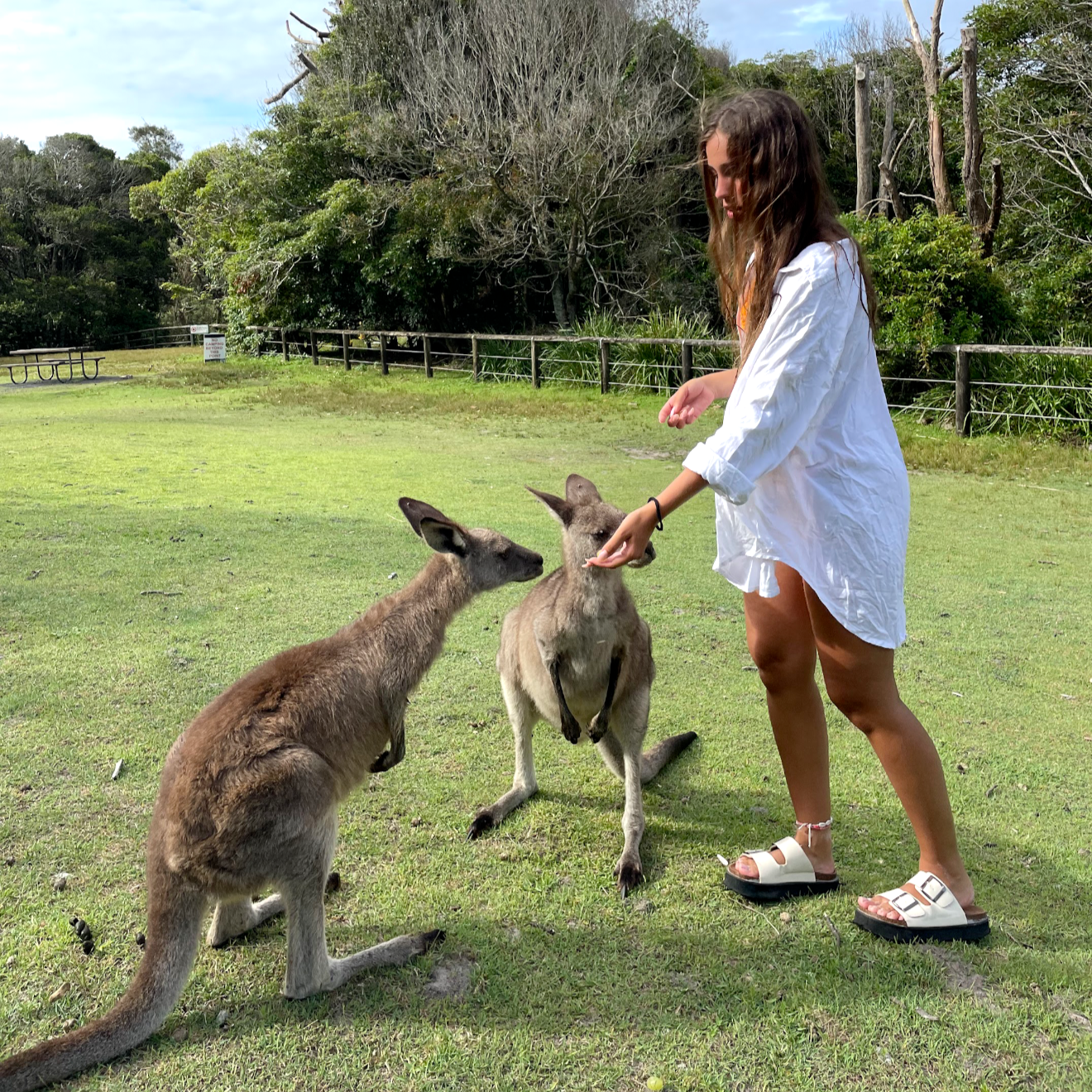 ¡Planea tu aventura en Australia! 🇦🇺  thumbnail