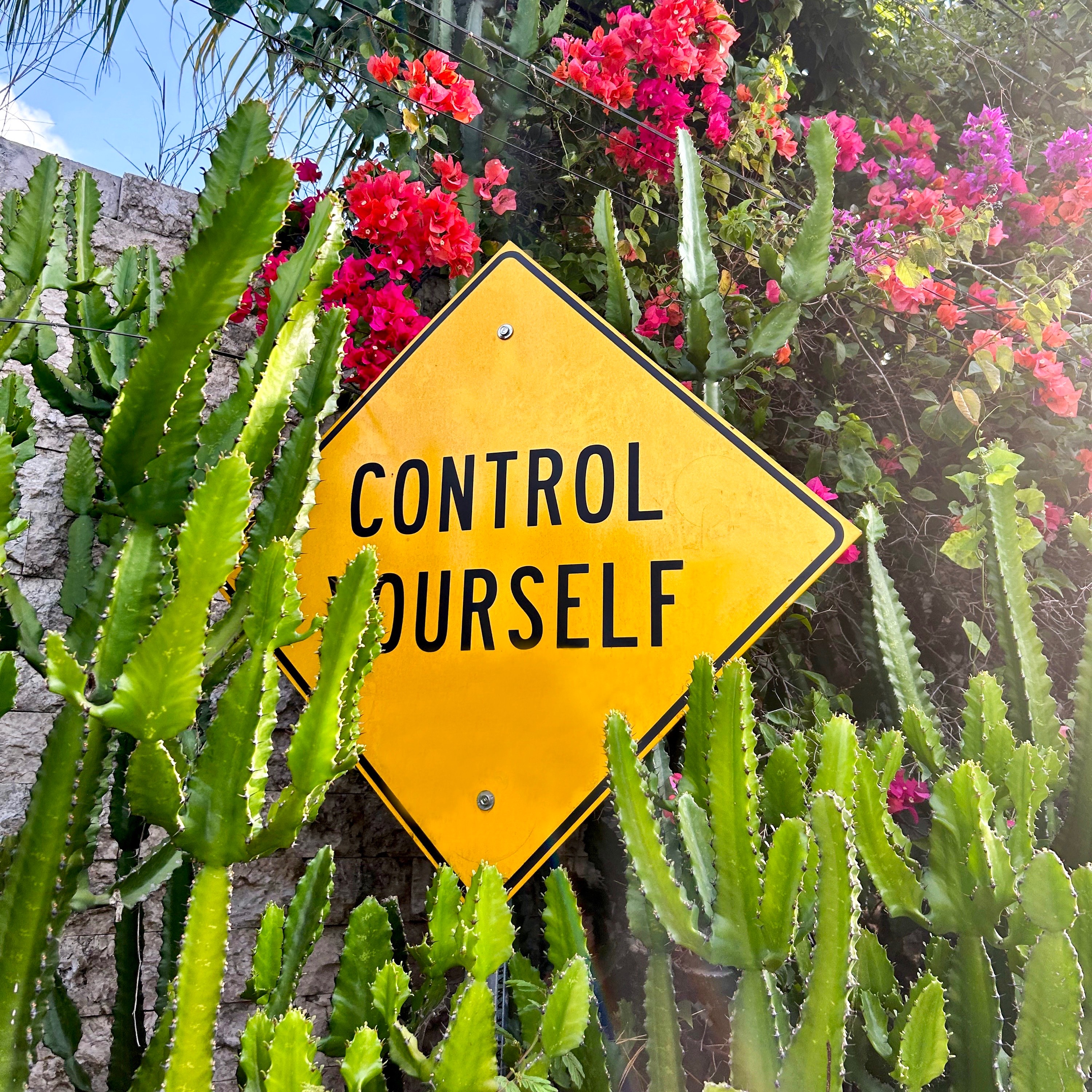 IATI Seguros - Seguro de Viaje thumbnail