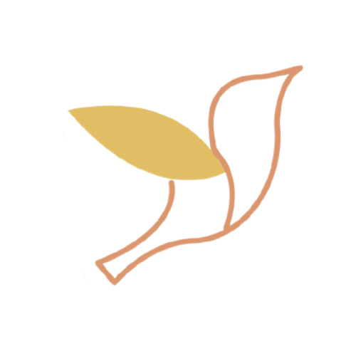 SERVIÇOS | Sai Do Ninho Oficial thumbnail