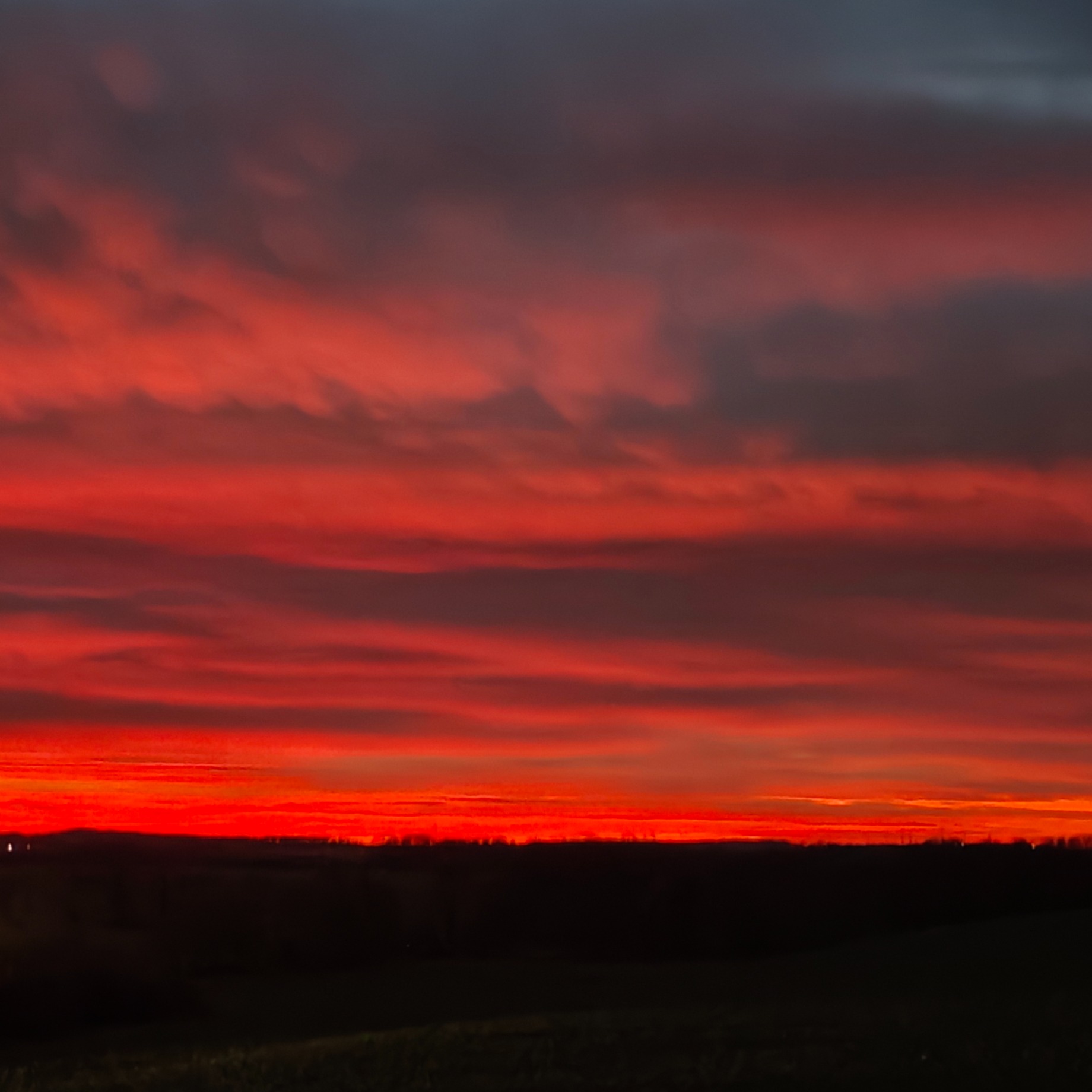 lebenssalat.de thumbnail