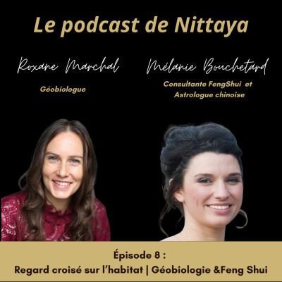 Podcast de Nittaya - Regard croisé sur l'habitat thumbnail