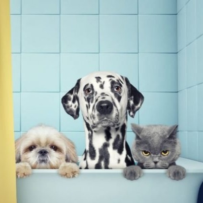 BANHOS TERAPÊUTICOS thumbnail