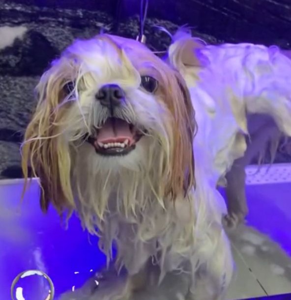 MENU DE BANHOS thumbnail