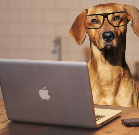 AGENDAMENTOS ou DÚVIDAS thumbnail