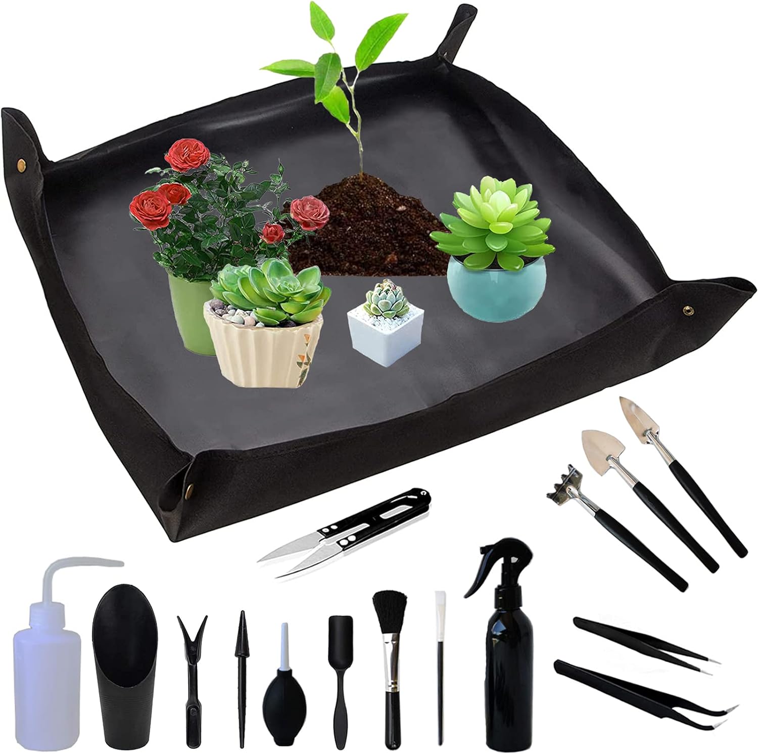 Les essentiels pour l'entretien des plantes thumbnail