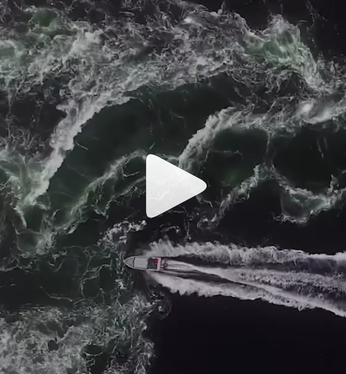 WATCH THE YARD BY ZAK POWERS thumbnail