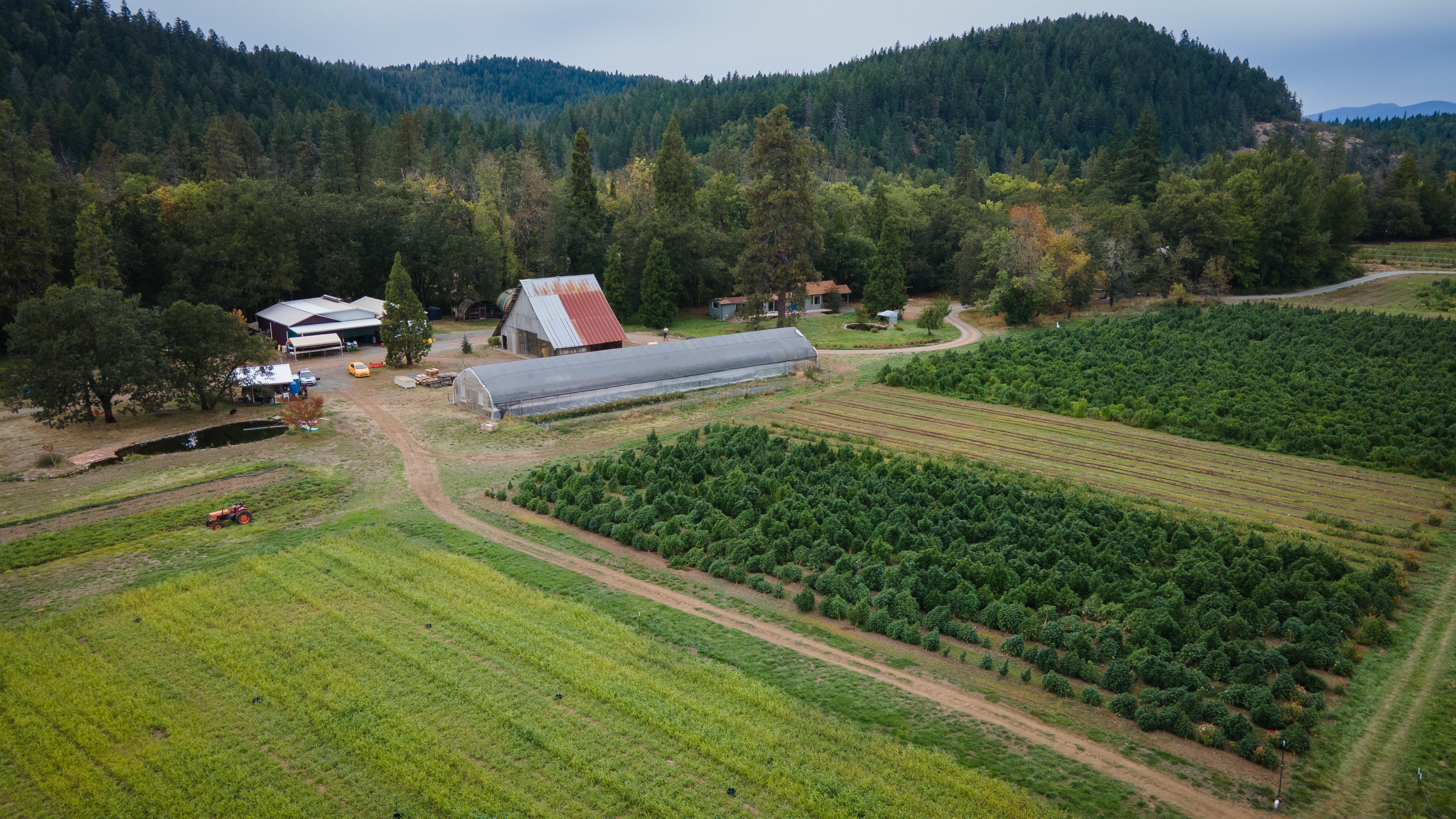 ORDER HEMP CBD PRODUCTS ONLINE thumbnail