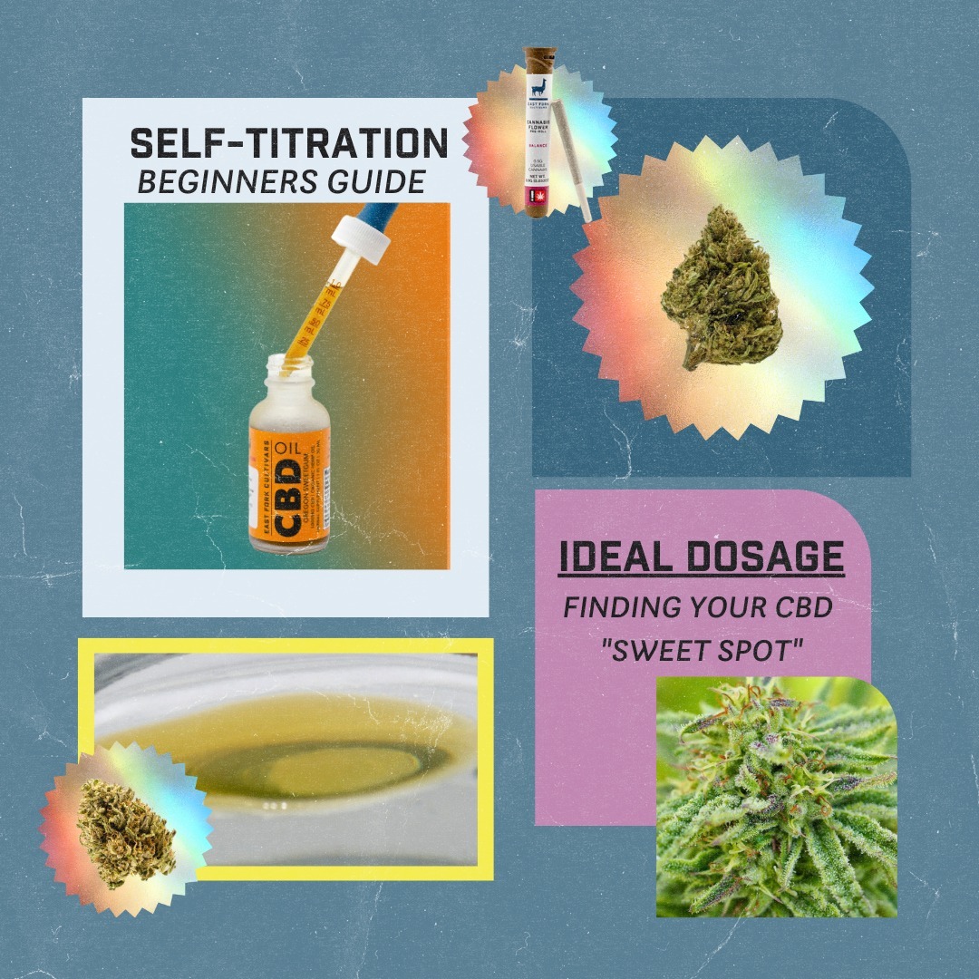 Ever wonder how much CBD is right for you? All bodies react to cannabinoids differently, making the consumption of canna