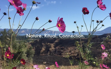 Inside/Out Immersion Website thumbnail