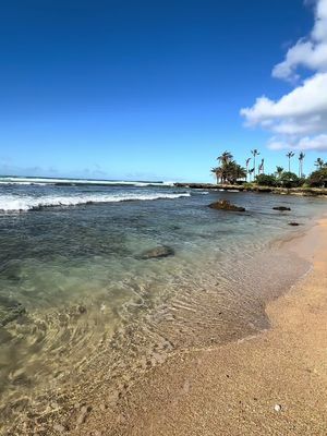 Just a girl and her travel diaries…what a trip, literally.. 😵‍💫🫠🙂🥲  #solotravel #newyear #healing #hawaii #oahu #honolul
