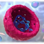 FISIOTERAPIA DERMATOFUNZIONALE thumbnail