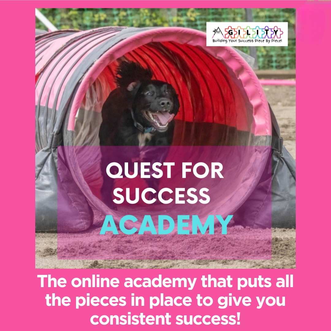 Quest For Success Academy  thumbnail