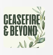 Ceasefire and Beyond : learning and taking action for human rights in Gaza. thumbnail