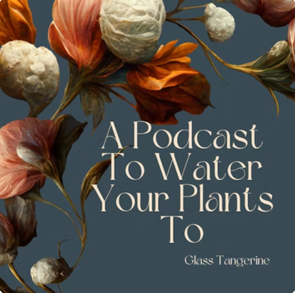 A Podcast To Water Your Plants To thumbnail