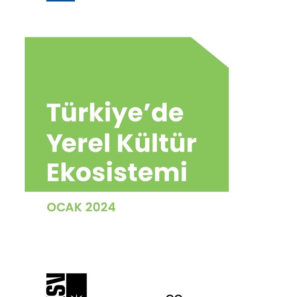 Türkiye'de Yerel Kültür Ekosistemi thumbnail