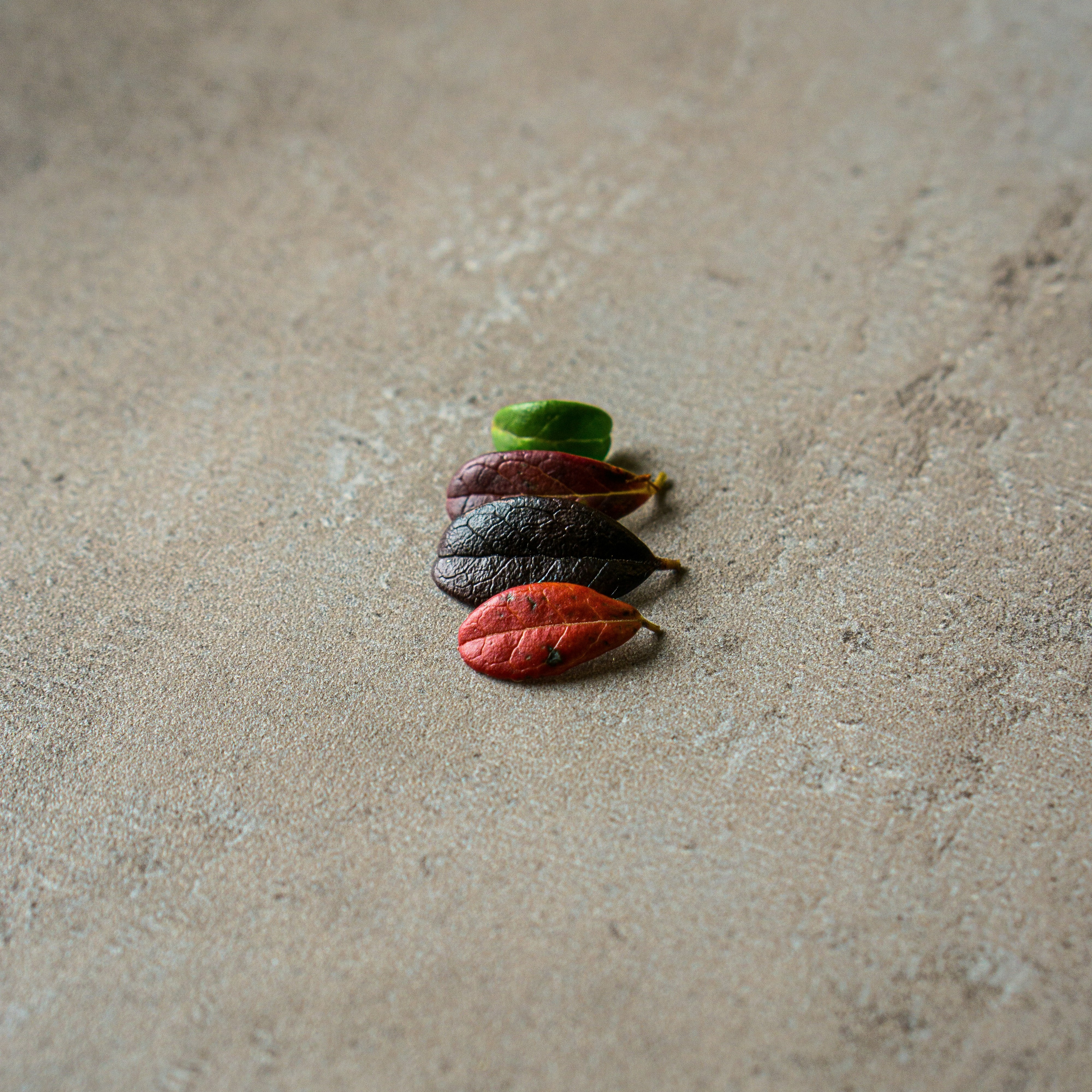 11 areas to review when your workplace pension changes thumbnail