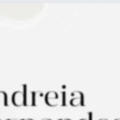 MEU PORTIFÓLIO  thumbnail