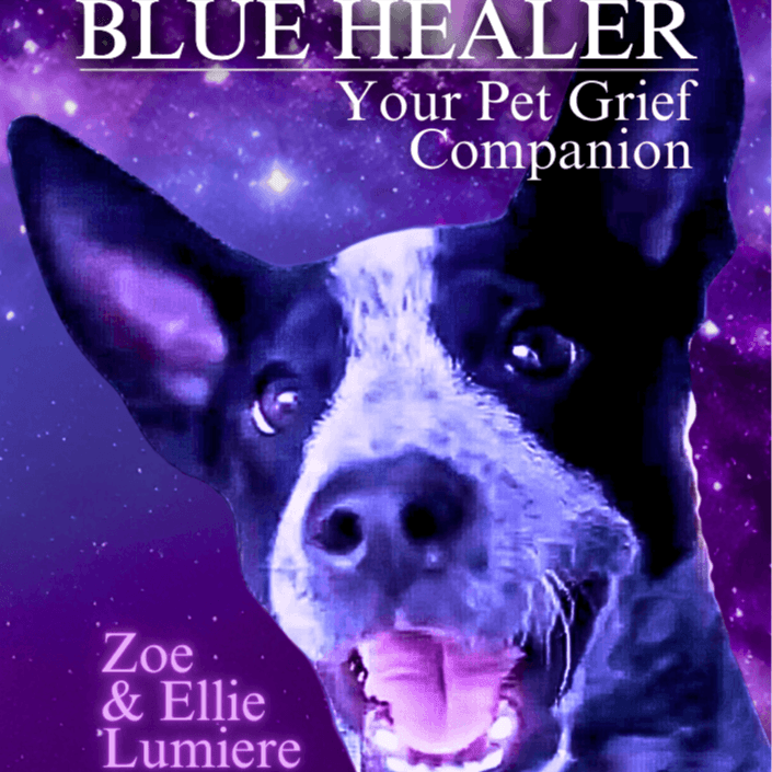 My new book launched on Amazon November 22. Preorder Kindle Now 99c thumbnail