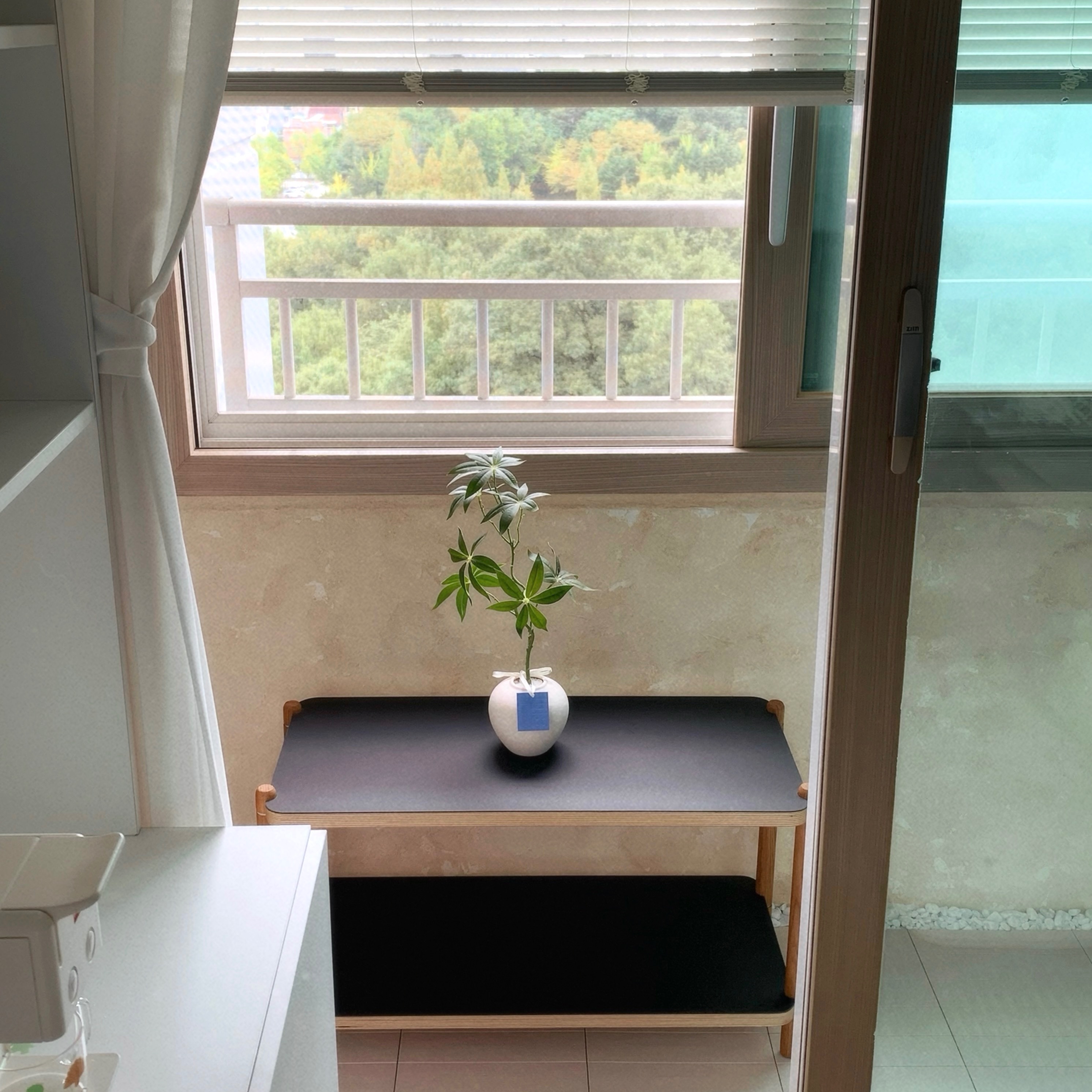 식물 & 가드닝 thumbnail