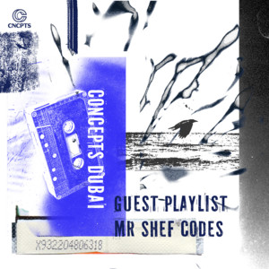 Concepts | Mr Shef Codes thumbnail