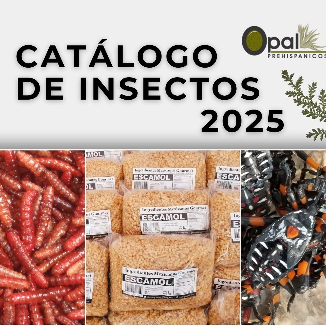 Catálogo De Insectos 2025 thumbnail