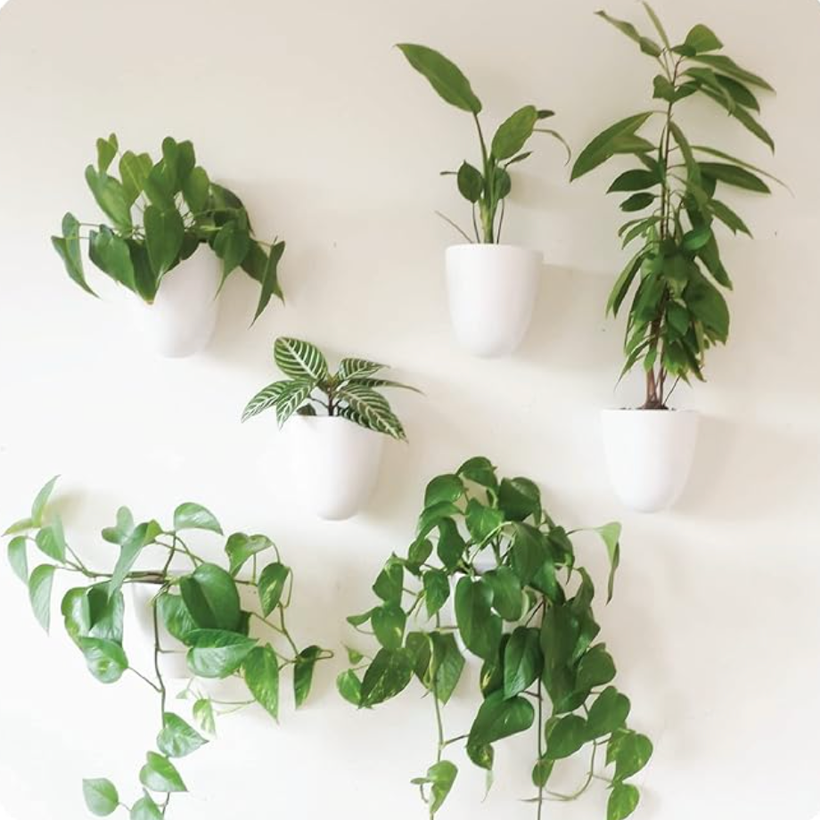 Self-Watering Wall Planters thumbnail