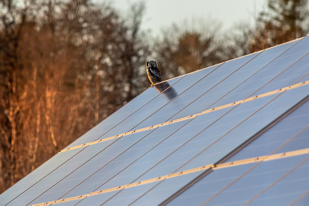 Define Solar Shares the Benefits of Going Solar: More Than Just Savings thumbnail