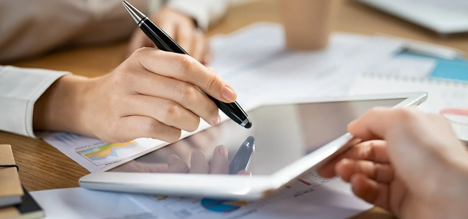 COTIZACION thumbnail