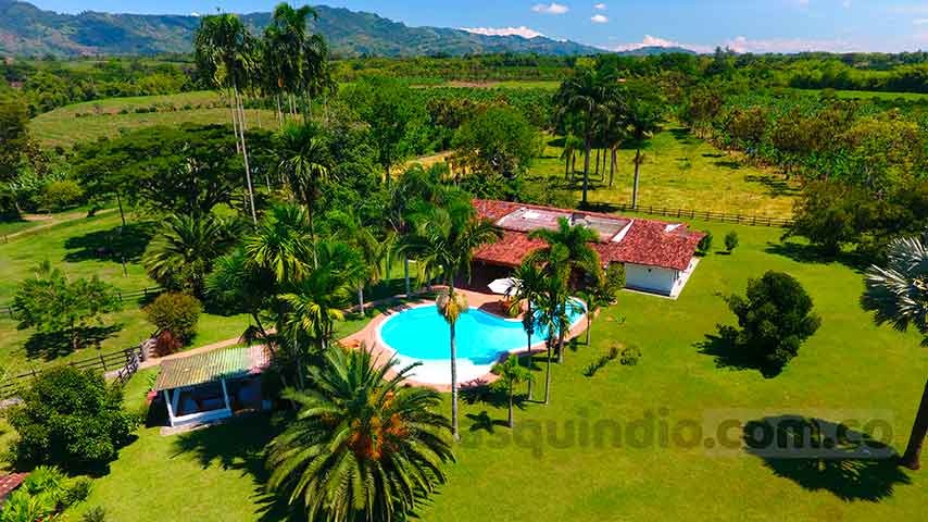 LOTES Y FINCAS thumbnail