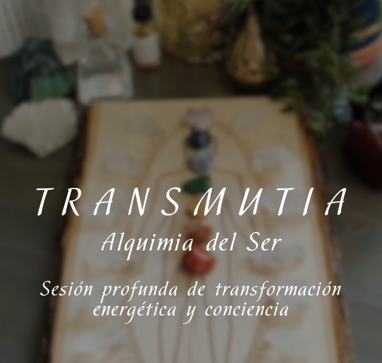 Book an appointment with me