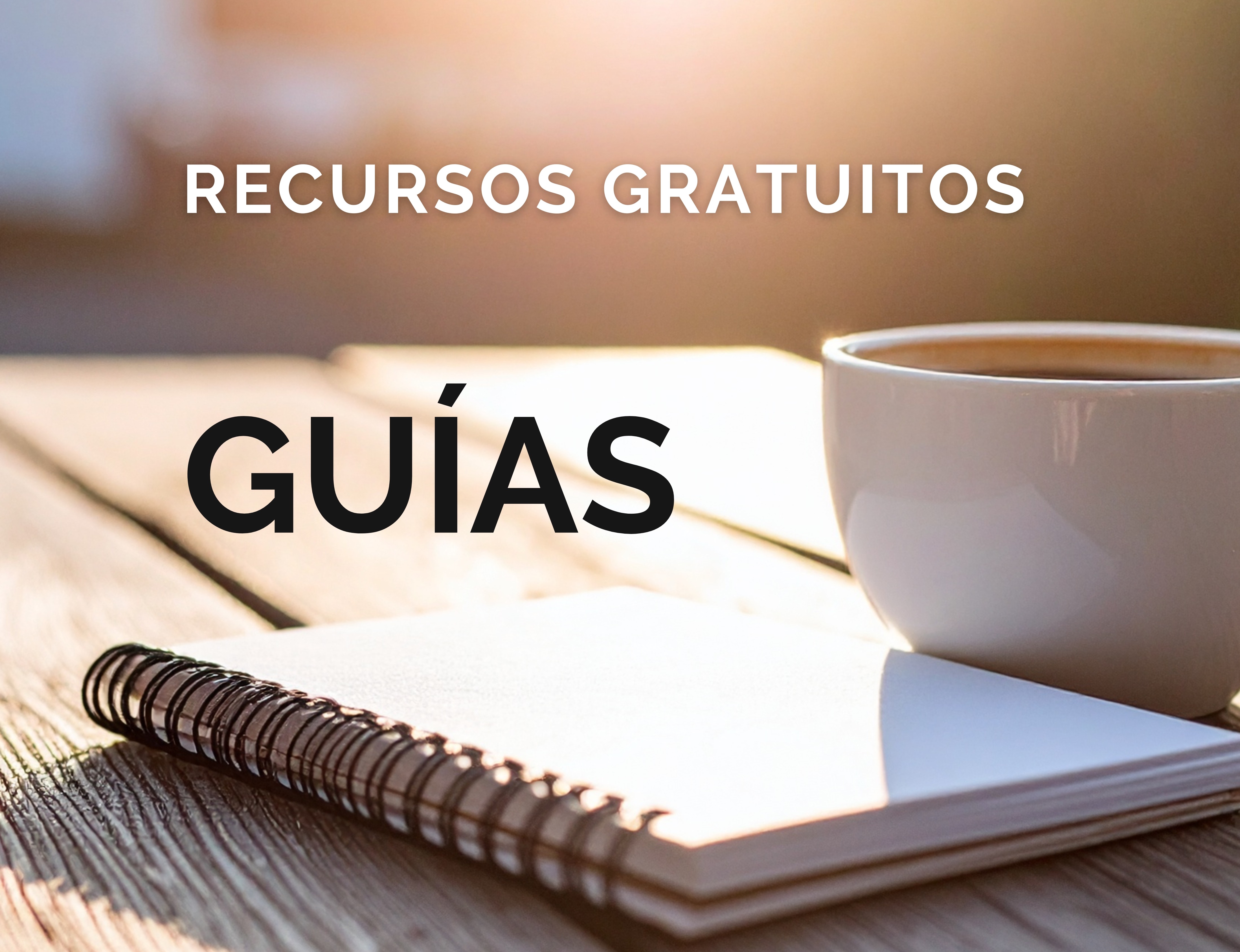 Recursos gratuítos GUÍAS thumbnail